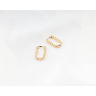 Thick square earrings Gold - Stainless Steel