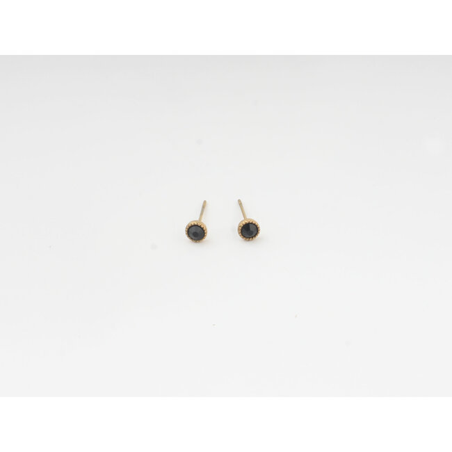 Black Zirkonia Stud Earrings - stainless steel