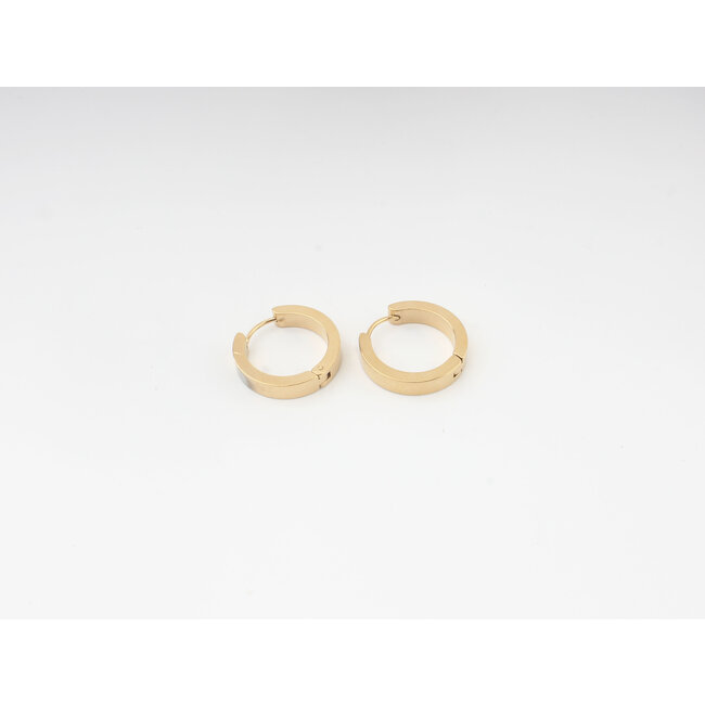 Thick Round Earrings 1.8 cm gold - stainless steel