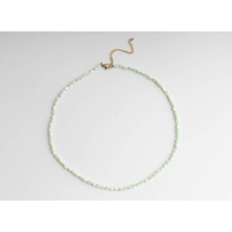 Collier coquillage véritable menthe - acier inoxydable