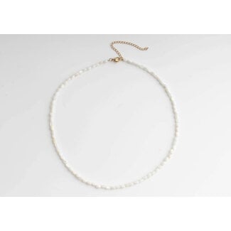 Collier coquillage véritable blanc - acier inoxydable