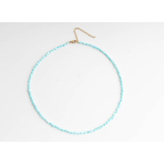 Collier coquillage véritable turquoise - acier inoxydable