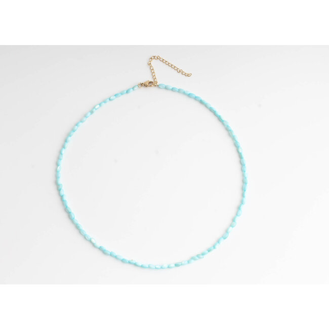 Collier coquillage véritable turquoise - acier inoxydable