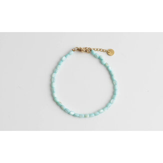 Bracelet coquillage véritable turquoise - acier inoxydable