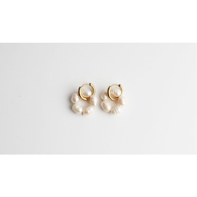 Boucles d'oreilles créoles perles d'eau douce - Acier inoxydable