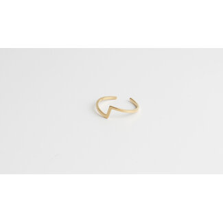 'robin' RING GOLD - Stainless Steel (adjustable)