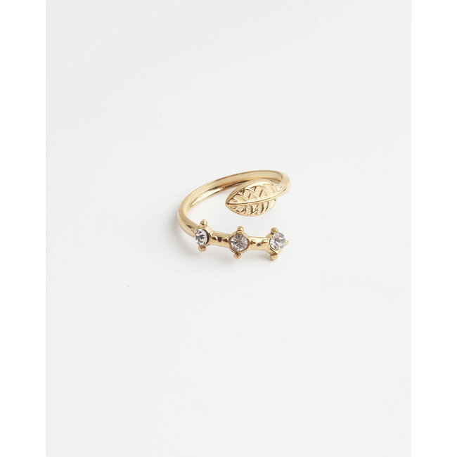 'Lena' RING GOLD - Stainless Steel