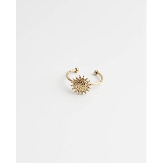 "Augustus" RING GOLD- Edelstahl - VERSTELLBAR