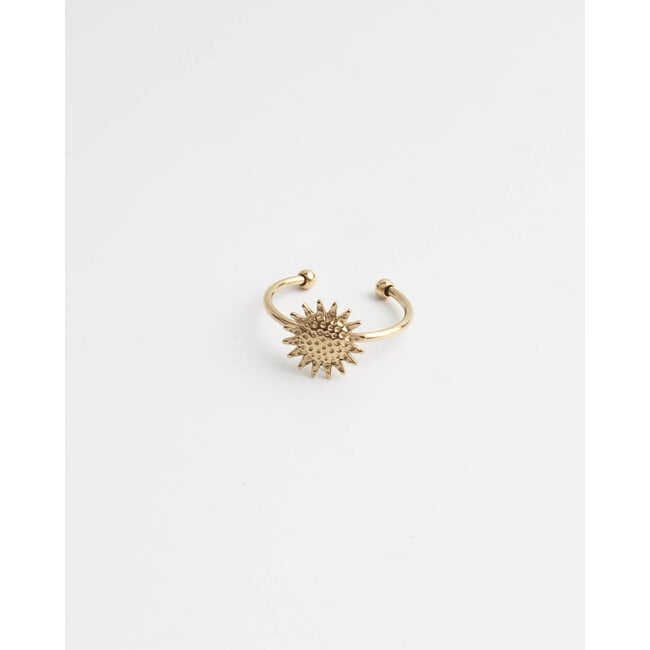 "Augustus" RING GOLD -  Stainless steel - ADJUSTABLE