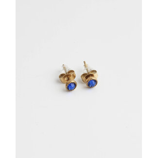 Blue Zirconia Stud Earrings - stainless steel