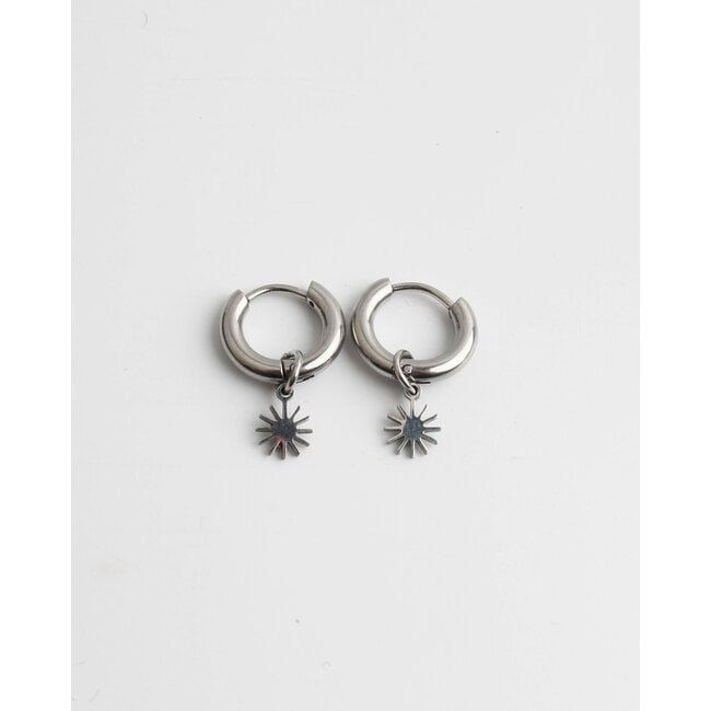 Silver  Stainless Steel 'Sweet Sun' Earrings