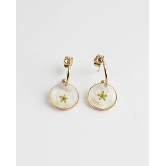 Dried Flower Earrings 'rêves sans fin' Gold - Stainless Steel