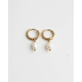 Boucles d'oreilles 'perle de mer' or - acier inoxydable