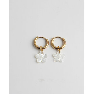 Boucles d'Oreilles Coquillage Fleur Doré - Acier Inoxydable