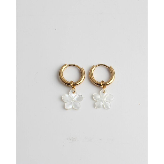 Flower Shell Earrings Gold - Stainless Steel