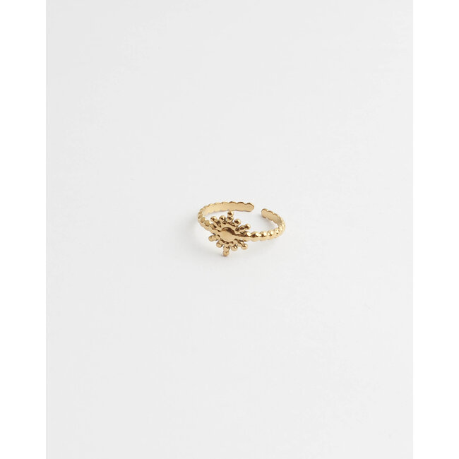 'SHINE' RING GOLD - STAINLESS STEEL (VERSTELBAAR)