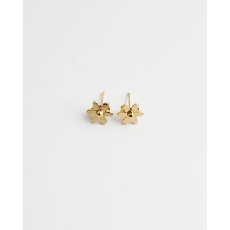 Daisy flower stud earrings gold - stainless steel