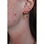 Boucles d'oreilles 'Belle' Rose & Doré - acier inoxydable