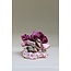 Colorful scrunchie worth €4,95