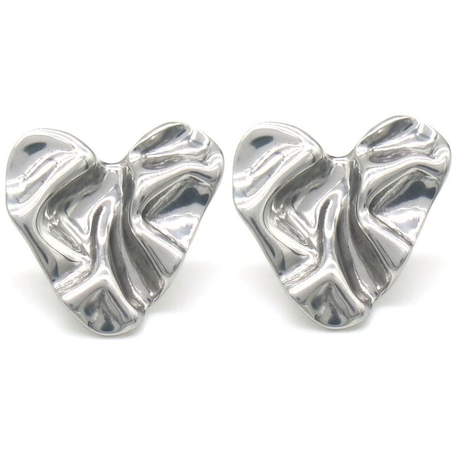 'Amare' earrings SILVER - Stainless steel