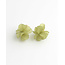 Boucles d'oreilles 'Straya' VERTES - Acier inoxydable