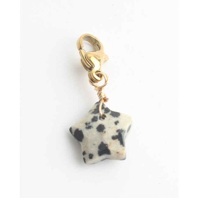 Design your own collectie  - Notbranded Charm - Jaspis Star