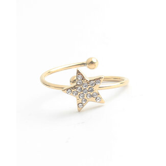 'Shining star' Anillo Oro - Acero inoxidable