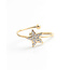 'Shining star' Anillo Oro - Acero inoxidable