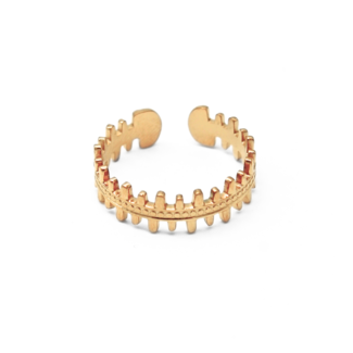 AMIRA 'Ring Gold - Acero inoxidable (ajustable)