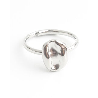 'Solvi' Ring Zilver - Stainless steel