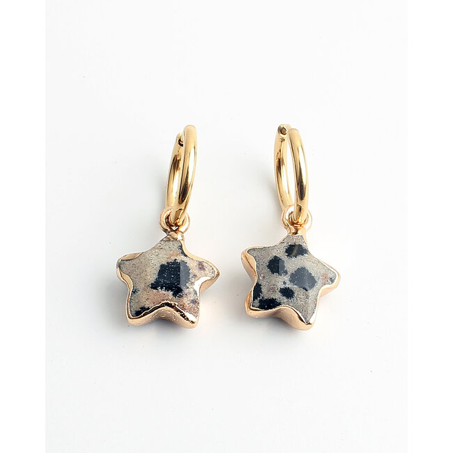 'Starry' Pendientes Leopard - Acero inoxidable