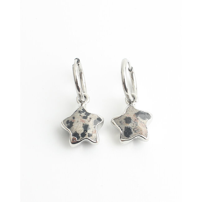 'Starry' Boucles d'oreilles Argent Leopard - Acier inoxydable