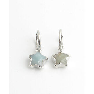 'Starry' Pendientes Plata Labradorite - Acero inoxidable