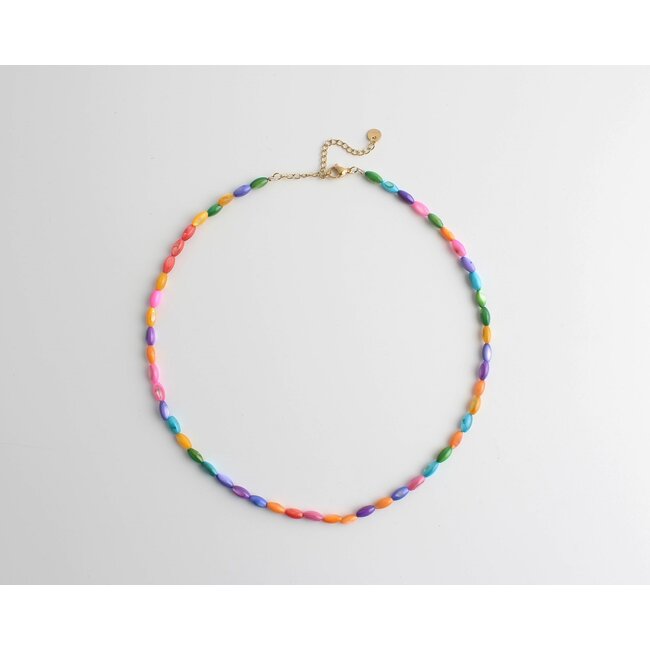 'Real shell' Collar Arcoiris - Acero inoxidable