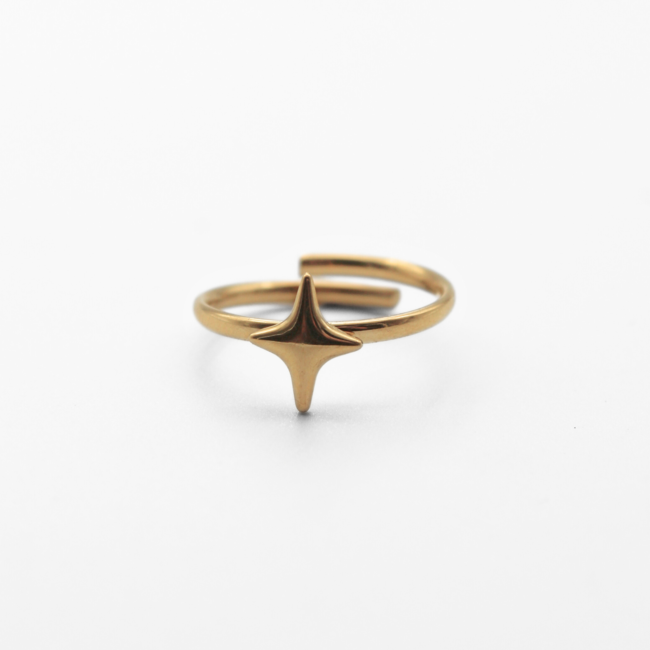 'Starly'   Ring Gold - Stainless steel (adjustable)