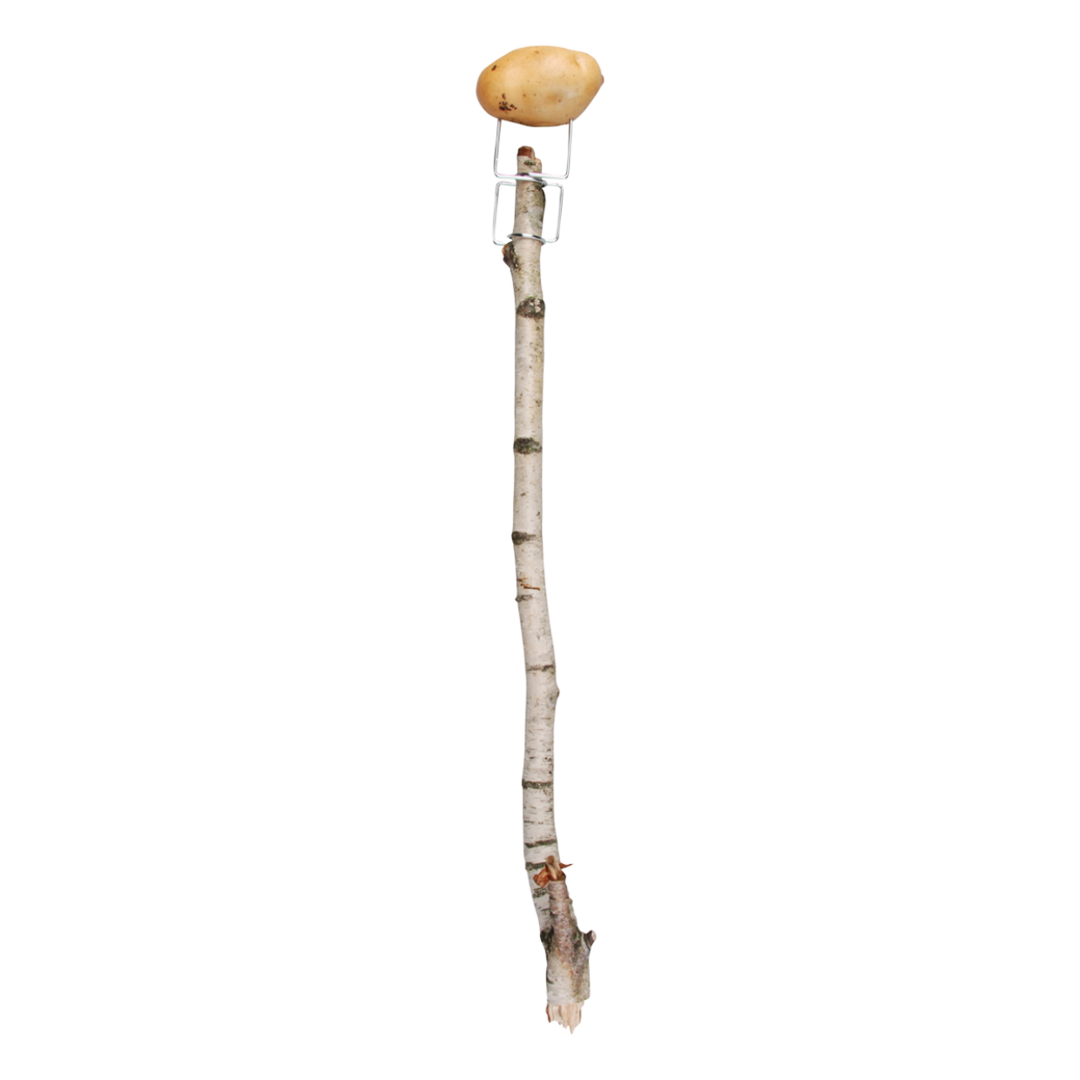 Branch grill set of 2