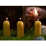UCO 12-Hour Candles (5 stuks Bijenwas kaarsen voor UCO Original Candle Lantern)