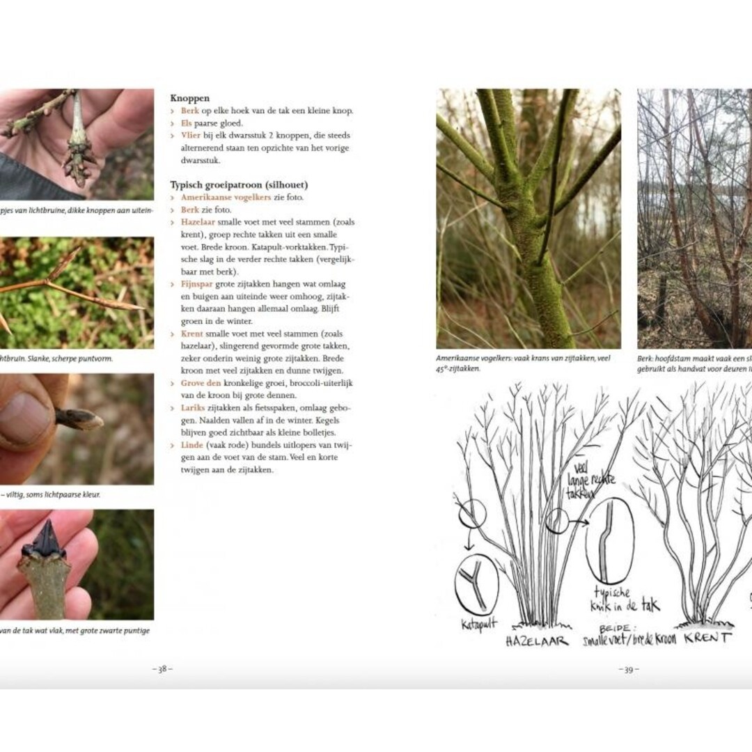 EXTRA Bushcraft Buiten Leven (Niederlandisch)