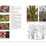EXTRA Bushcraft Buiten Leven (Niederlandisch)