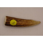Antler Tips
