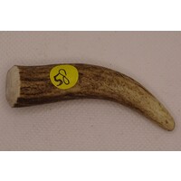 Antler Tips