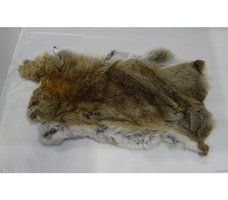 Rabbit fur