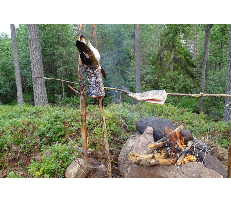 Bushcraft-Wochenkurs Schweden 22. Juli - 28. Juli 2024