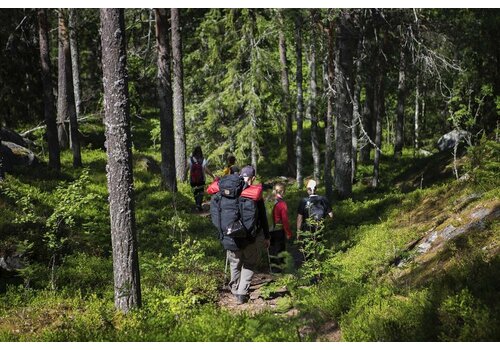 Bushcraft-Wochenkurs Schweden 22. Juli - 28. Juli 2024