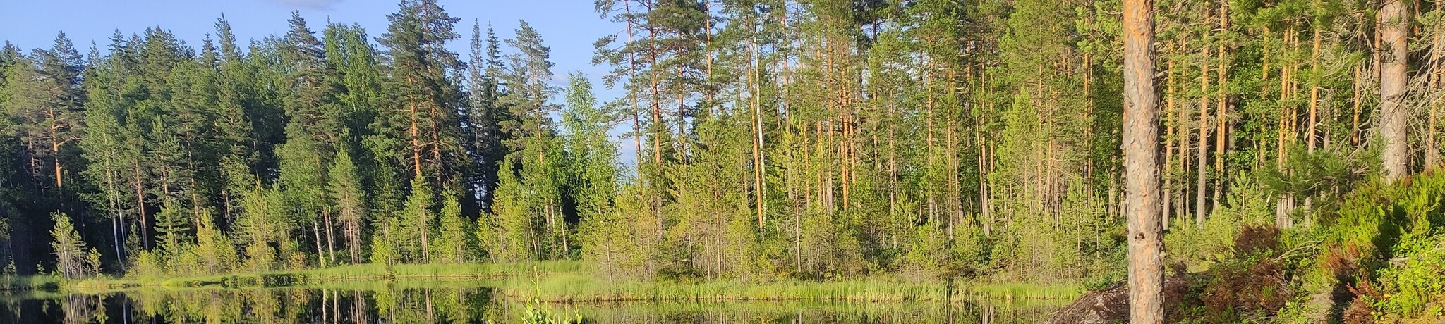 Bushcraft-Wochenkurs Schweden 22. Juli - 28. Juli 2024