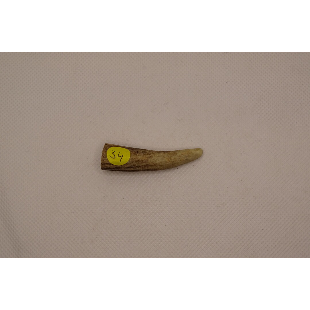 Antler Tips