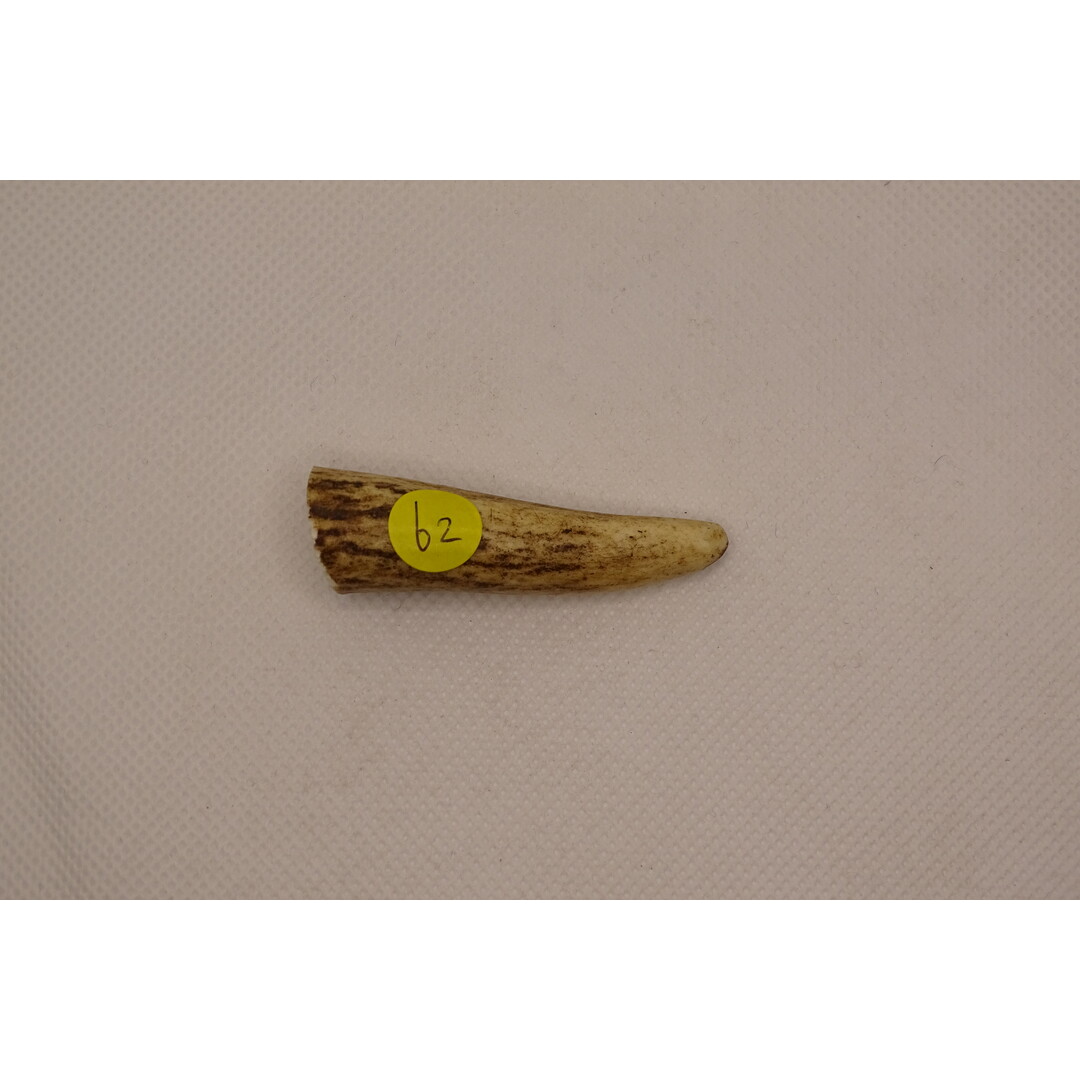 Antler Tips