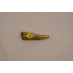 Antler Tips