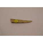 Antler Tips