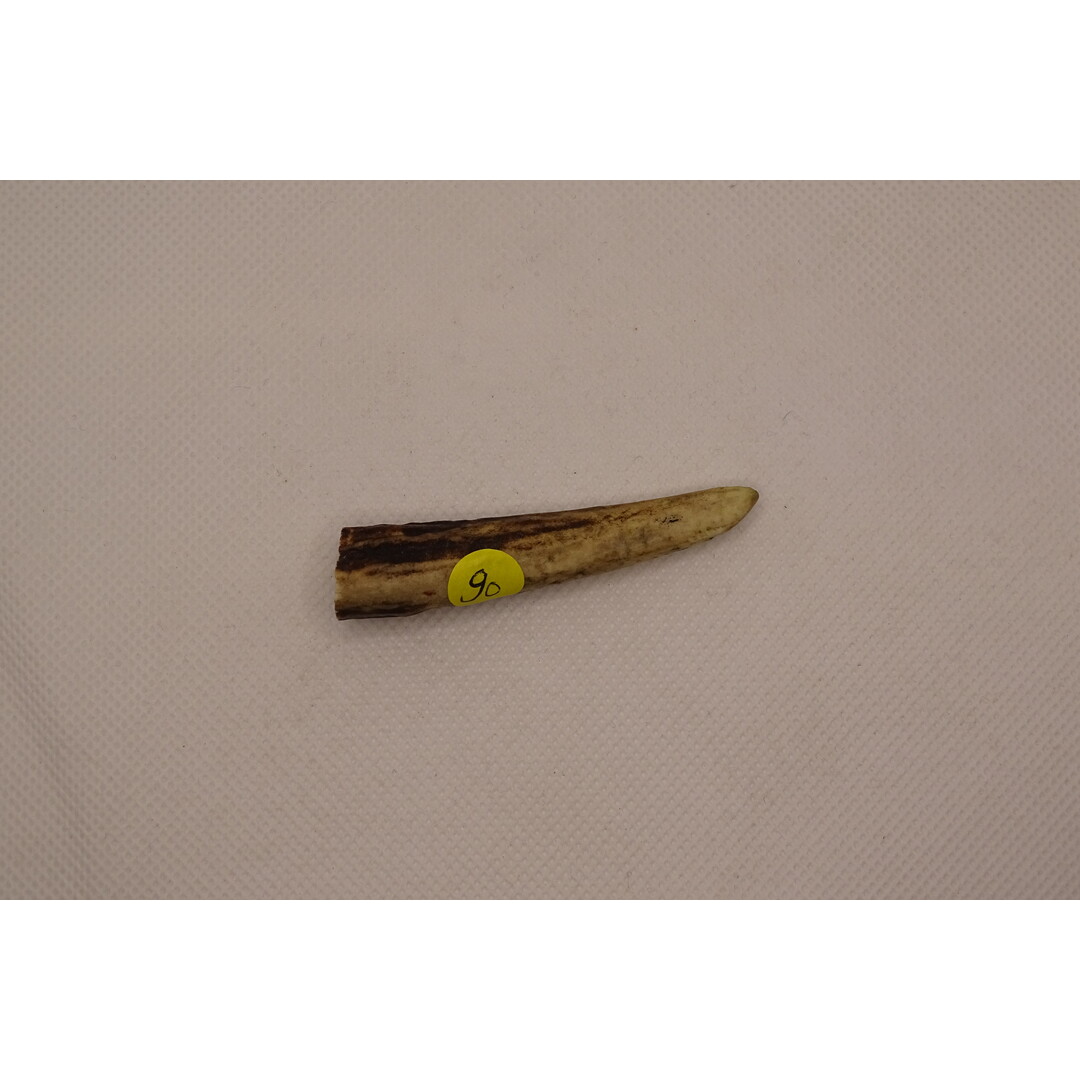 Antler Tips